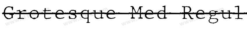 Grotesque Med Regul字体转换